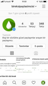 İnstagram Sayfanızı Büyütmeye Yardımcı Olan Etkenler