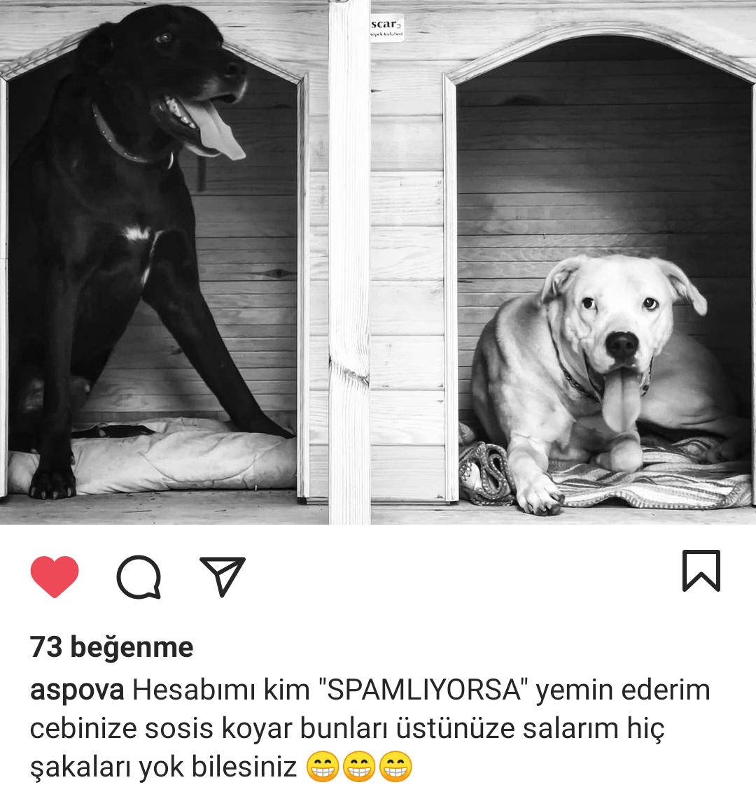 Rapçi Aspova'nın Instagram Hesabı Spam Altında!