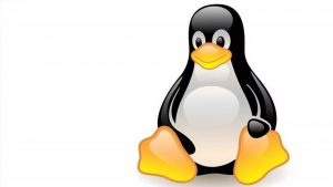 Linux'ta Otomatikleştirilmiş Görevlere Ne Ad Verilir?