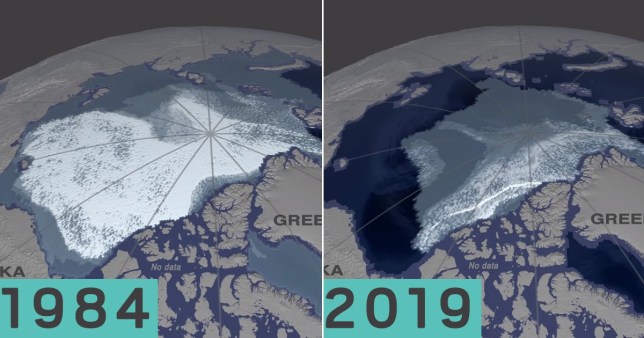 1984 Yılından 2019 Yılına Kadar Arktik Okyanusu'ndaki Buzulların Nasıl Eridiğini Gözler Önüne Seren Korkutucu Video! 1984 Yılından 2019 Yılına Kadar Arktik Okyanusu'ndaki Buzulların Nasıl Eridiğini Gözler Önüne Seren Korkutucu Video!