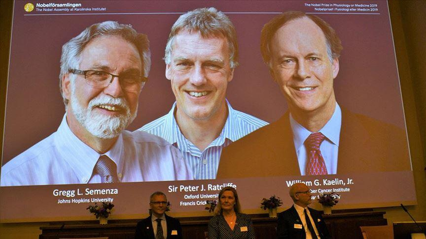 2019 Nobel Tıp Ödülü'nü kazananlar açıklandı 2019 Nobel Tıp Ödülü'nü kazananlar açıklandı