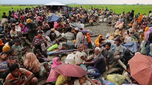 ABD, Arakanlı Müslüman mültecilerin Bhasan Char Adası'na yerleştirilmesinden endişeli