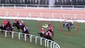 Adana'daki at yarışı kazalarıyla ilgili ilk hamle! Araştırma başlatıldı