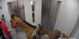 Atıyla asansöre binince gözaltına alındı