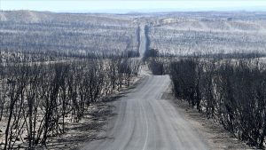 Avustralya yangınları tüm dünyayı saracak, yeni 'normal' olabilir