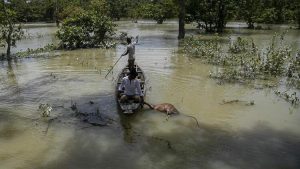 Bangladeş'teki sel felaketinde korkunç bilanço yükseldi