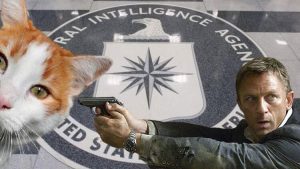 CIA'in casus kedi projesi yıllar sonra deşifre oldu