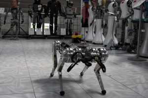 Dört ayaklı yerli robot, tehlikeli işlerin üstesinden gelecek