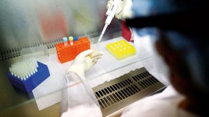 Fransa'da sıtma tedavisinde başvurulan klorokinin Kovid-19'a karşı kullanımına izin