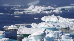 Grönland'daki buz tabakasında '2019'da rekor erime' kaydedildi