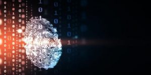 Incognito Blockchain, DeFi Privacy’yi Tanıttı!