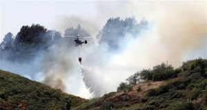 Kanarya Adaları'ndaki yangında 12 bin hektardan fazla alan kül oldu