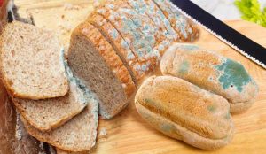 Ramazan'da ekmeğin küflenmesi nasıl önlenir? Ekmeğin bayatlayıp küflenmesini önlemenin yolları