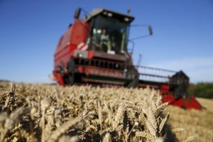 Tarımsal girdi fiyat endeksi Ağustos'ta yıllık %8,11 arttı