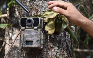 Trabzon'da ormanları fotokapanlar koruyacak