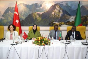 Türkiye-Zambiya Karma Ekonomik Komisyonu'nun ilk toplantısı yapıldı
