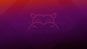 Ubuntu 21.04 Yayınlandı