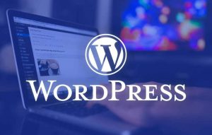 E-Ticaret Teması Önerileri Wordpress