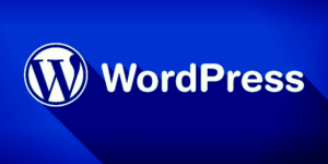 WordPress Yeni Bir Eklenti İle Telif Haklarını Korumayı Hedefliyor