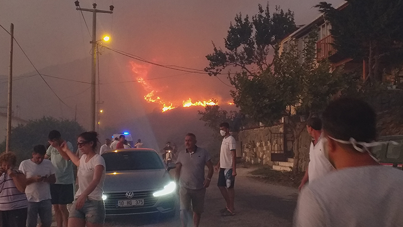 80 hektarın kül olduğu Marmara Adası'ndaki orman yangınıyla ilgili bir kişi gözaltında