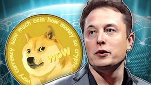 Elon Musk: Doge ile Tesla Satın Almak İster misiniz?