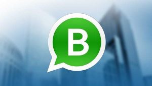 WhatsApp Business hesaplarının çevrimiçi durum göstergesi gizleniyor