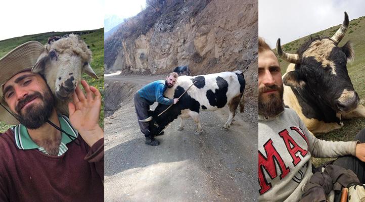 Artvinli Besicinin Boğa ve Koyun ile Dikkat Çeken İletişimi: Gel Deyince Geliyor, Kaşınan Yerini Gösteriyor Artvinli Besicinin Boğa ve Koyun ile Dikkat Çeken İletişimi: Gel Deyince Geliyor, Kaşınan Yerini Gösteriyor