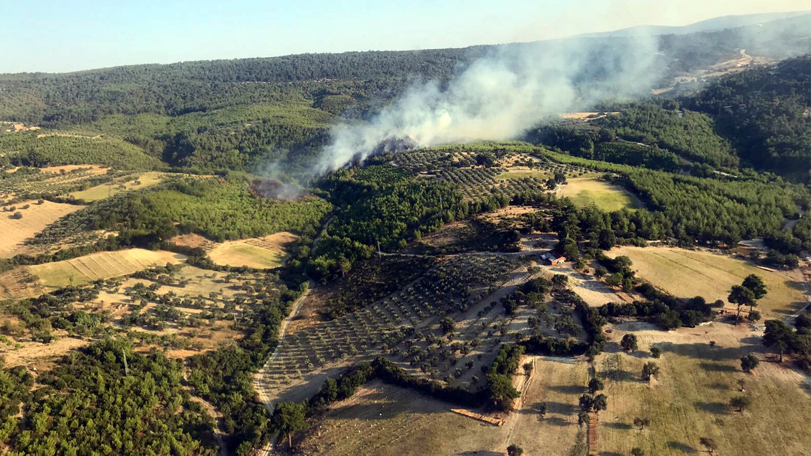 Bergama'da 3 buçuk hektarlık ormanlık alan yandı Bergama'da 3 buçuk hektarlık ormanlık alan yandı