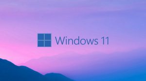 Windows 10 Format Hatası Çözümü