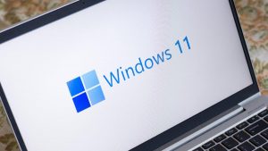 Windows 11'de Bir Dosya veya Klasörü Parolayla Koruma