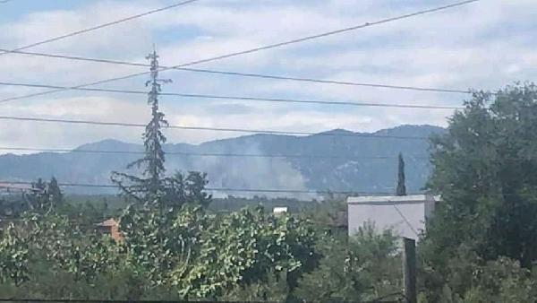 Adana Kozan'da orman yangını (1)