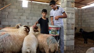 Ailelerinin keçilerini kaybettikleri için saklanan çocuklar, 14 saat sonra bulundu