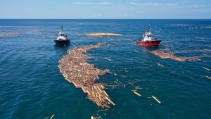 Argüman: Üç yıl evvel o depoların taşınmasına karşı çıkan Ayancık Orman İşletme Şefi, artık tomrukları denizden toplayan şirkette çalışıyor