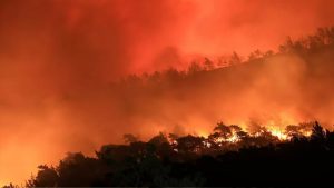 Avrupa Birliği Kopernik Atmosfer Müşahede Servisi: Akdeniz yangınlar için bir "sıcak nokta" hâline geldi