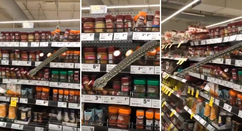 Avustralya'da Bir Marketin Raflarının Ortasından Piton Çıktı