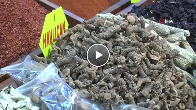 Bahar Nezlesinin Şifası Havlıcan"