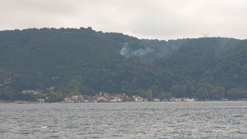 Beykoz'da orman yangını çıktı