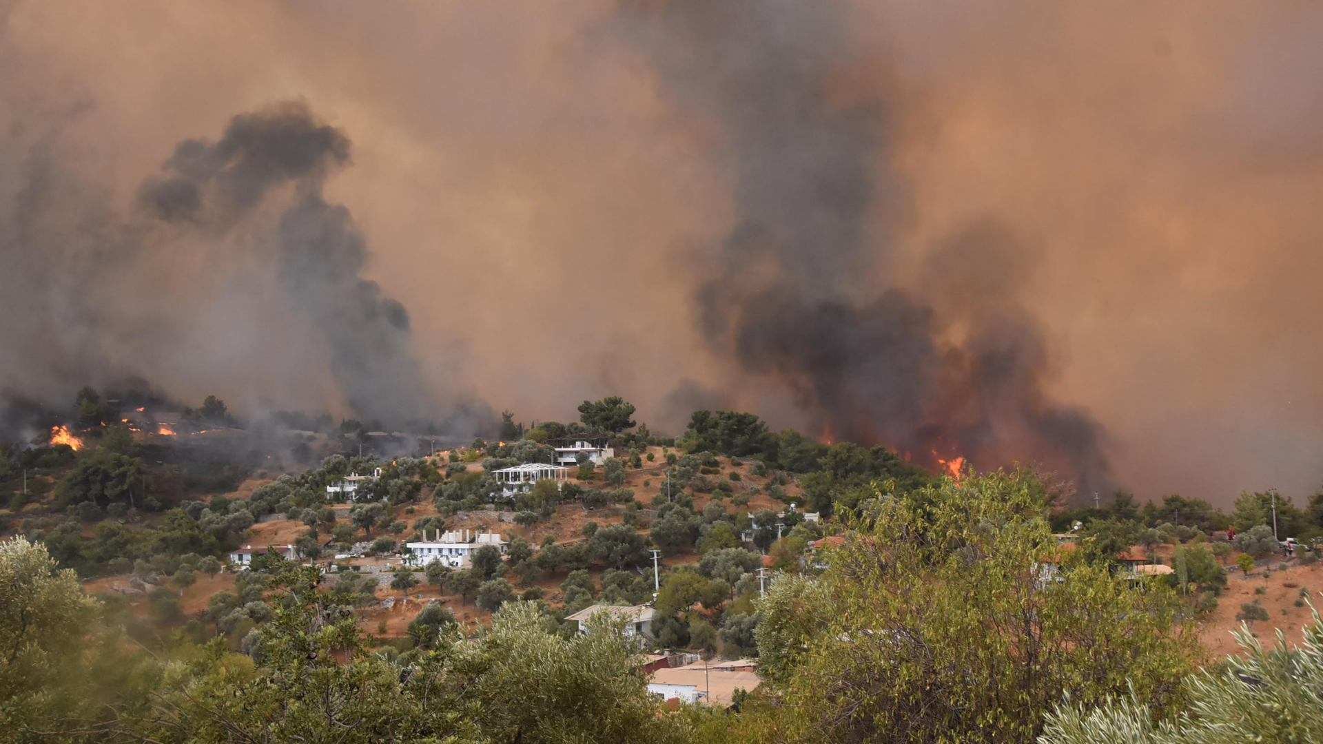 Bodrum'da yangına neden oldukları teziyle gözaltına alınan 3 zanlı tutuklandı Bodrum'da yangına neden oldukları teziyle gözaltına alınan 3 zanlı tutuklandı