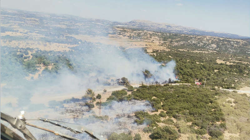 Çanakkale'de ormanlık alanda çıkan yangın denetim altına alındı Çanakkale'de ormanlık alanda çıkan yangın denetim altına alındı