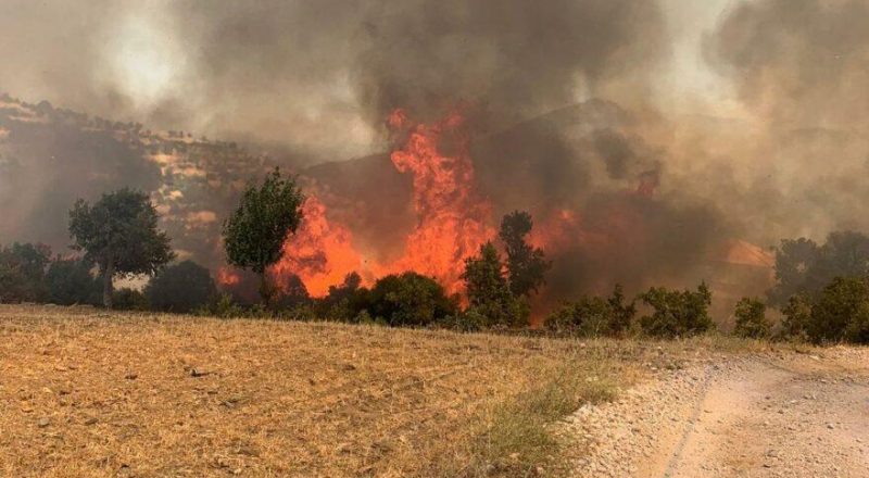 Canlı Blog | Uşak'taki Yangın Kontrol Altına Alındı, Adana'da Müdahaleye Devam Ediliyor