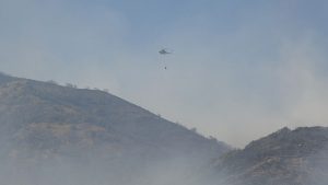 CHP’li Ağbaba’dan, Bingöl yangını için davet: Havadan müdahale gerekiyor