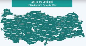 Hangi vilayette ne kadar aşı yapıldı? İstanbul, Ankara, İzmir, Bursa, Adana, Samsun aşı sayıları ve aşı haritası! 12 Ağustos günlük aşı ve doz sayıları!