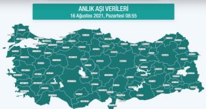 Hangi vilayette ne kadar aşı yapıldı? İstanbul, Ankara, İzmir, Bursa, Adana, Samsun aşı sayıları ve aşı haritası! 16 Ağustos günlük aşı ve doz sayıları!