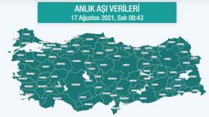 Hangi vilayette ne kadar aşı yapıldı? İstanbul, Ankara, İzmir, Bursa, Adana, Samsun aşı sayıları ve aşı haritası! 17 Ağustos günlük aşı ve doz sayıları!