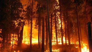 Her felakette ortaya çıkıyorlar! Fırsatçılar, yangın gereçlerine son bir haftada yüzde 630'lara varan artırım yaptı