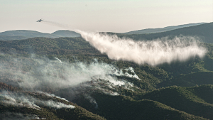 Orman yangınlarında 13. gün: 2 vilayette 5 noktada yangınlar devam ediyor