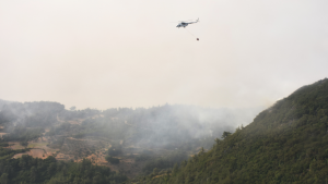 Orman yangınlarında son durum: 5 vilayette 13 yangın devam ediyor
