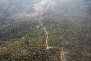 Tarım Orman-İş Lideri: 200 bin hektar alan yanmış durumda
