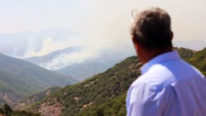 Tunceli Belediye Lideri Maçoğlu'ndan yangın reaksiyonu: Gerekli müdahale yapılmıyor