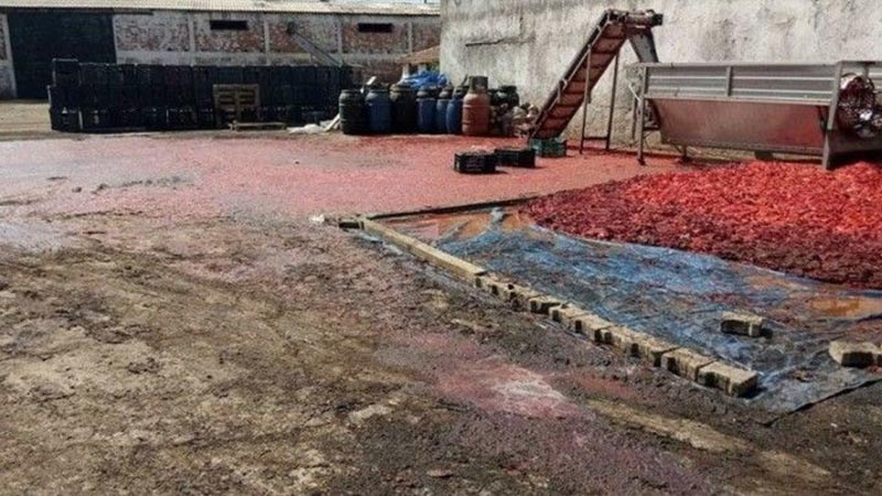 Daha evvel ahır olarak kullanılan binada üretilen 52 bin kilogram salçaya el konuldu Daha evvel ahır olarak kullanılan binada üretilen 52 bin kilogram salçaya el konuldu